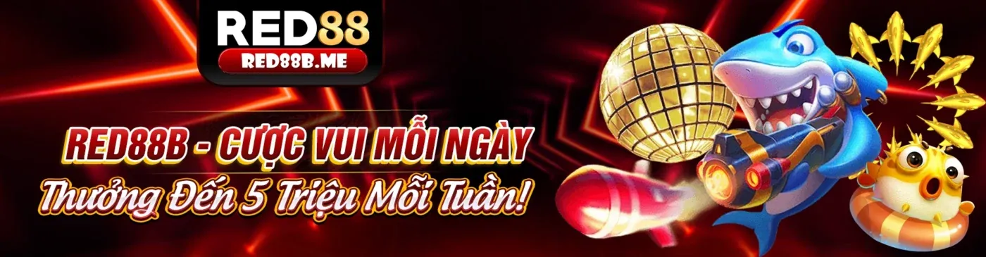 Cá cược thể thao sôi động tại 678bet app